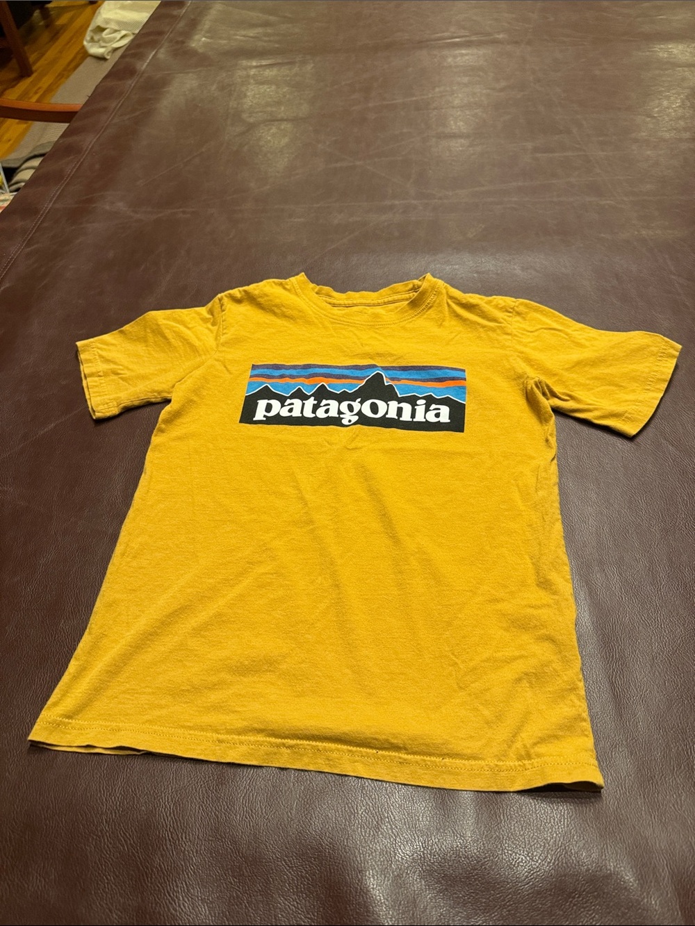 Patagonia Yellow Graphic Logo Tee